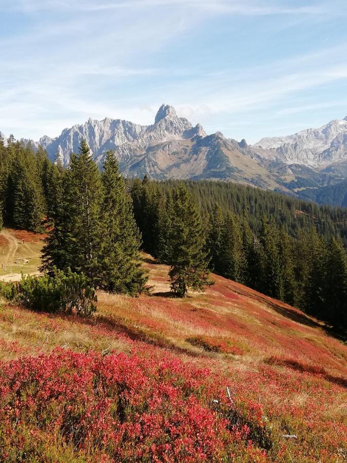 Ferienhaus Sonnberg Hüttau Buitenkant foto
