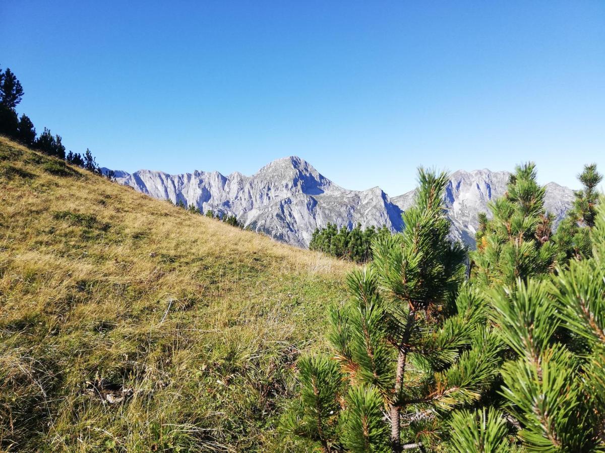 Ferienhaus Sonnberg Hüttau Buitenkant foto
